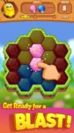 Bee Brilliant Blast mod