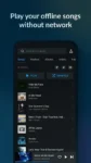 Lark Player interface