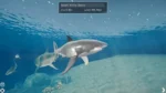 Shark Ocean gameplay
