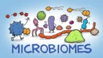 World of Microbes gameplay